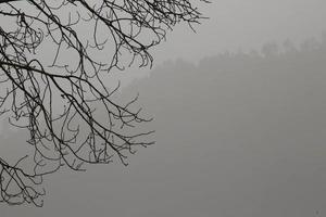 sinfonie di montagna foto