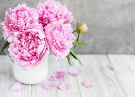 fiori di peonia rosa