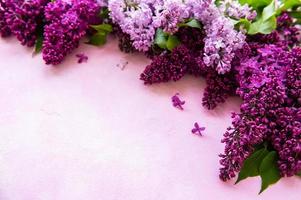 bordo di fiori primaverili lilla foto