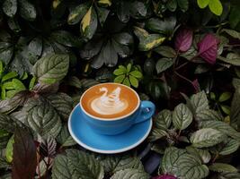 un caffè latte in una tazza sullo sfondo delle piante foto