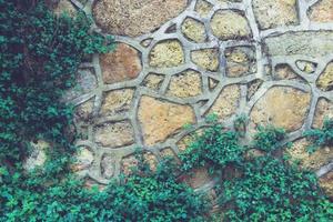 astratto muro di pietra grigia trama realistica ornamento e pianta verde che costruisce roccia sulla natura. foto