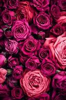 fiore viola chiaro rosa dolce bellissimi fiori che sbocciano e morbido bouquet floreale. foto