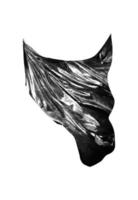 tessuto molto nero liscio elegante tessuto volante nero trama di seta astratta su bianco foto