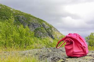 borsa da donna rosa dimenticata nella campagna norvegese in norvegia. foto