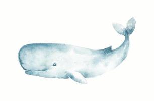 illustrazione vettoriale di balena in semplice stile cartone animato. scarabocchiare il disegno di un predatore marino per logo, simbolo, icona, ecc. foto