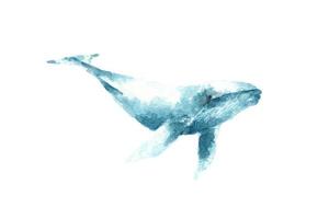 illustrazione dell'acquerello di una megattera. un disegno creativo dipinto a mano di animali oceanici. elemento artistico per decorare il design a tema nautico.
