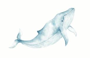 illustrazione vettoriale di balena in semplice stile cartone animato. scarabocchiare il disegno di un predatore marino per logo, simbolo, icona, ecc. foto