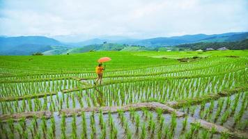 una ragazza con uno zaino che cammina su un campo di riso mentre tiene un ombrello in mano. viaggiare nella stagione delle piogge. zaino da viaggio foto