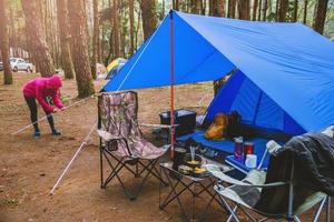 turismo natura donne, campeggio in mezzo alla pineta. regolare e tirare la corda della tenda. foto