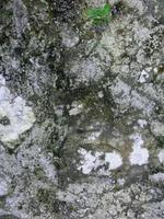 muro di pietra perfettamente organizzato, trama verde scuro e bianca dalla trama di sfondo del muro di roccia foto