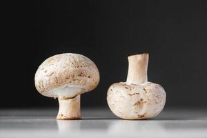 due funghi champignon giacciono in fila su un tavolo bianco su sfondo scuro foto