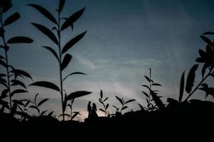 sagome di una giovane coppia di innamorati al tramonto sullo sfondo del cielo drammatico foto