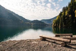 tronco di albero tagliato sul lago su uno sfondo di montagne e foreste