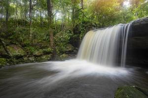 la giungla verde albero e pianta dettaglio natura nella foresta pluviale con muschio felce sulla roccia e alberi corsi d'acqua cascate che scorrono dalle montagne - bella cascata foresta thailandia foto