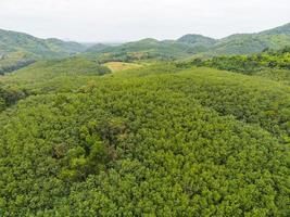 vista aerea albero della foresta albero della gomma foglie ambiente foresta natura sfondo, albero verde vista dall'alto foresta dall'alto, piantagione di alberi della gomma sulla montagna foto