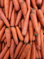 carote messe su un vassoio nel mercato, carote inviate dall'orto ai consumatori, immagini di sfondo foto