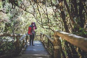 fotografo donne asiatiche viaggiano nella natura. viaggiare rilassati. studio della natura nella giungla. Tailandia foto