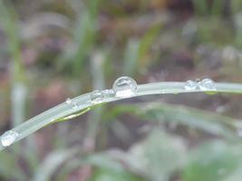 primo piano della goccia d'acqua sulla foglia foto