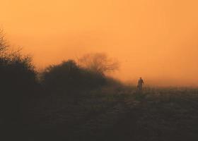 nella nebbia foto