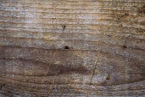 struttura o struttura del fondo di legno della plancia di legno marrone e legno scuro naturale foto