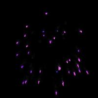 i fuochi d'artificio viola chiaro scoppiano nell'aria illuminano il cielo con uno spettacolo abbagliante e colorati festival di fuochi d'artificio su fondo nero. foto