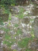 roccia e struttura della parete natura organica texture di sfondo e polvere di marmo liquido. foto