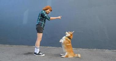 giovane donna con cane corgi foto