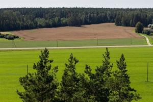 paesaggio rurale con campo verde e foresta foto