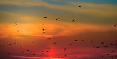 nuvole arancioni e grigie bellissima atmosfera al tramonto con un grande sole giallo e arancione nelle colline della superficie del cielo. foto