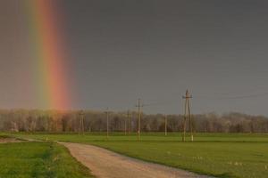 meravigliosi campi verdi con tralicci dell'elettricità e un arcobaleno foto