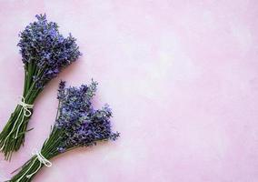 fiori freschi di lavanda foto