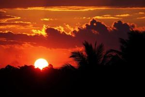 silhouette albero di cocco e silhouette tramonto con un grande sole e una nuvola di cielo rosso arancio la sera foto