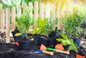 attrezzi da giardinaggio sullo sfondo del suolo pronti per piantare fiori e piccole piante nel concetto di lavori in giardino
