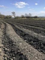 campo arato per la patata in terra marrone sulla natura aperta della campagna