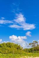 cielo blu con nuvole chimiche cielo chimico scie chimiche giornata di sole.