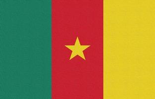 illustrazione della bandiera nazionale del Camerun foto