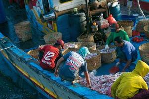 probolinggo 29 marzo 2020, pescatori che scaricano pescato in vendita.commerciante di pesce foto