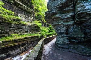 sentiero della gola del parco statale robert h treman foto