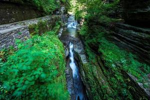 sentiero della gola del parco statale robert h treman foto