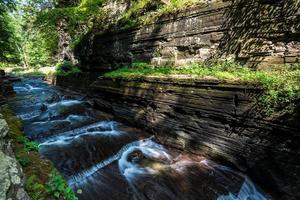 sentiero della gola del parco statale robert h treman foto