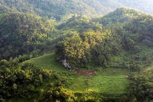 foreste naturali con alba nella zona delle montagne a chiang mai, in thailandia.