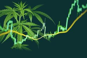 marijuana d'affari foglie di cannabis con grafici azionario sulla borsa del mercato azionario o investimento analisi commerciale - cannabis commerciale medicina denaro concetto di valore più elevato foto