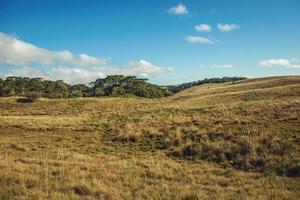 paesaggio di pianure rurali chiamate pampas con boschi verdi e cespugli secchi che ricoprono le colline vicino a cambara do sul. una piccola cittadina di campagna nel sud del Brasile con incredibili attrazioni turistiche naturali. foto