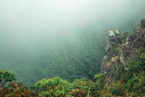 ripida scogliera rocciosa con cespugli e nebbia che sale dalla valle al parco nazionale di serra geral vicino a cambara do sul. una piccola cittadina di campagna nel sud del Brasile con incredibili attrazioni turistiche naturali. foto