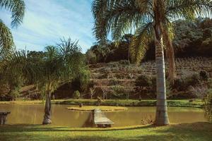 passerella in legno che va a una piccola isola in stagno da un grazioso giardino con palme vicino a bento goncalves. un'accogliente cittadina di campagna nel sud del Brasile famosa per la sua produzione di vino. foto ritoccata.