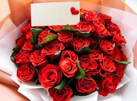 bellissime rose rosse foto