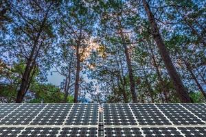 pannello solare sull'estate della foresta di larici con diversi alberi, concetto di energia alternativa, energia pulita, energia verde. foto