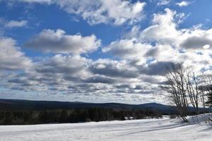 un campo in inverno sotto un cielo nuvoloso foto