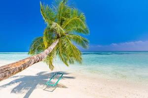 bellissimo striscione da spiaggia tropicale. sabbia bianca e palme da cocco viaggio turismo ampio panorama concetto di sfondo. incredibile paesaggio della spiaggia. aumentare il processo di colore. vacanza o vacanza in resort di lusso sull'isola foto