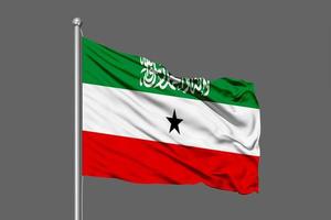 illustrazione di bandiera sventolante somaliland su sfondo grigio foto